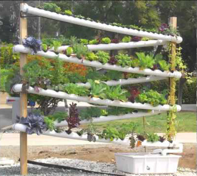 vertical vegetable gardening survival